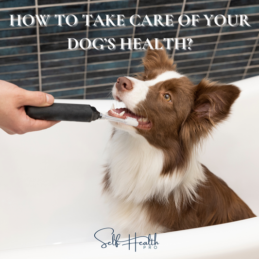 Dog Health Guide for Pet Owners | Simple Tips for a Healthy, Happy Dog | Puppy & Adult Dog Care Book